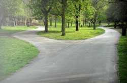 What road will you take in life?
